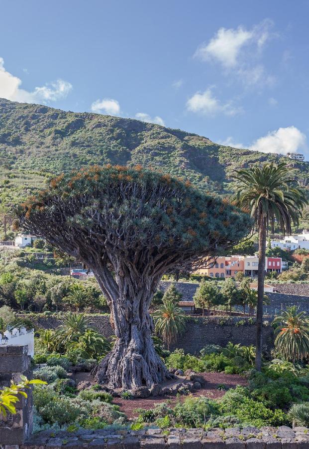 伊科德·德·洛斯·维诺斯Terraza Centrico Pueblo Aparcamiento Cerca公寓 外观 照片